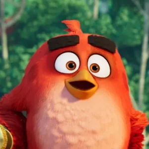 categorise